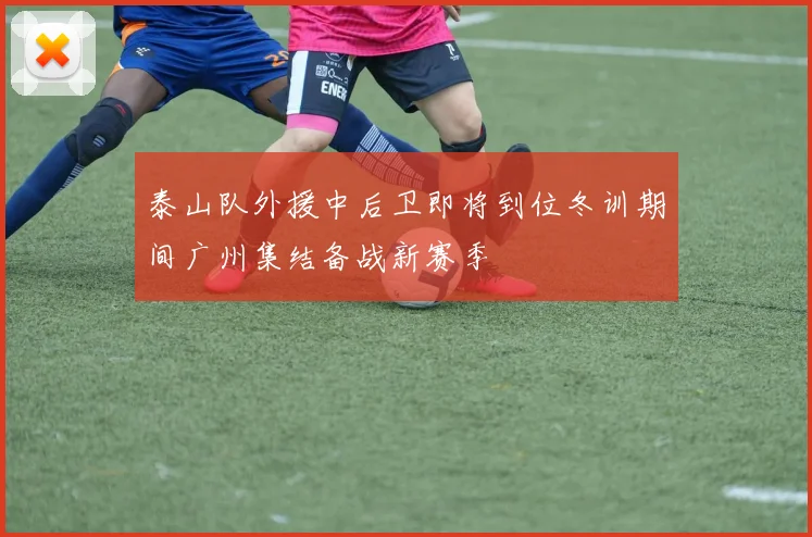 泰山队外援中后卫即将到位冬训期间广州集结备战新赛季