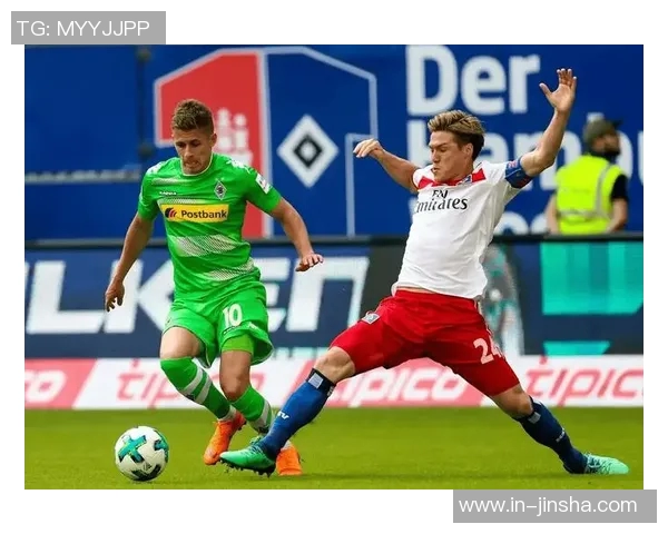 热刺对武什科维奇在汉堡的外租表现表示满意视其为球队重要一员